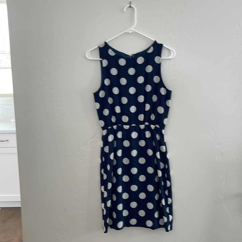 J Crew dress